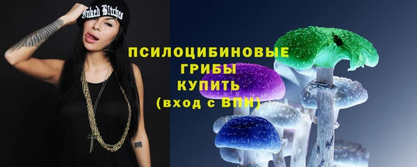 гидра Абдулино