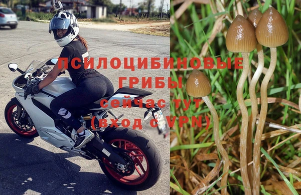 твердый Михайлов